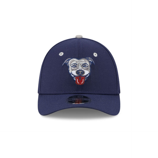 Lehigh Valley IronPigs Theme Night Navy 39THIRTY M-Crown Stretch Fit Hat
