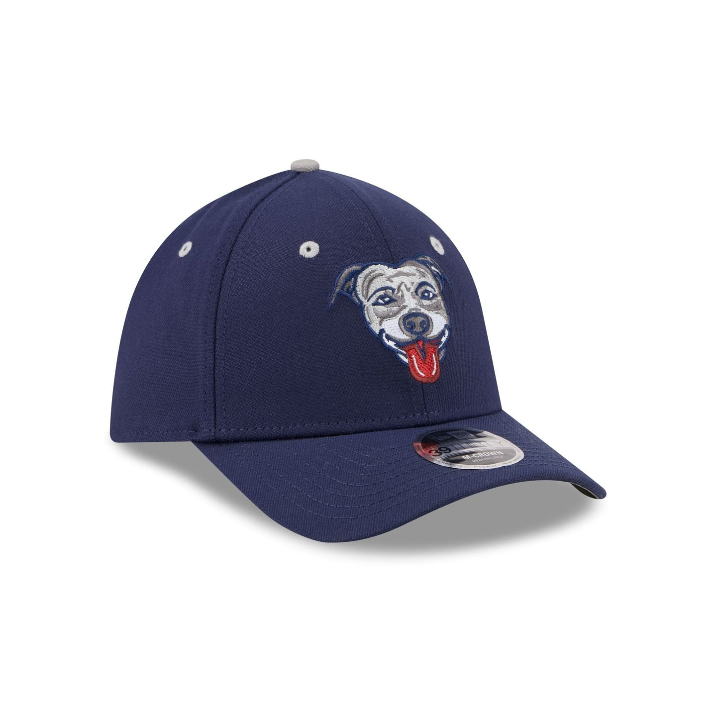 Lehigh Valley IronPigs Theme Night Navy 39THIRTY M-Crown Stretch Fit Hat